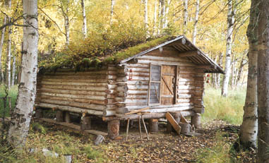 Remote Cabin Rental
